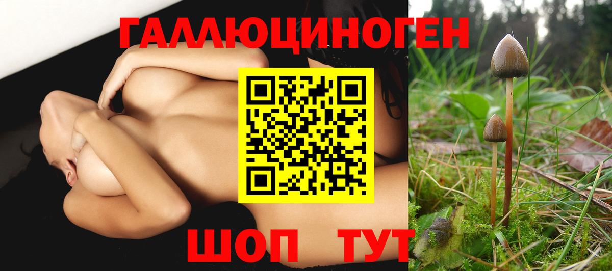 Галлюциногенные грибы прущие грибы  Вход с VPN  сколько стоит  Галлюциногенные грибы MAGIC MUSHROOMS  Похвистнево 